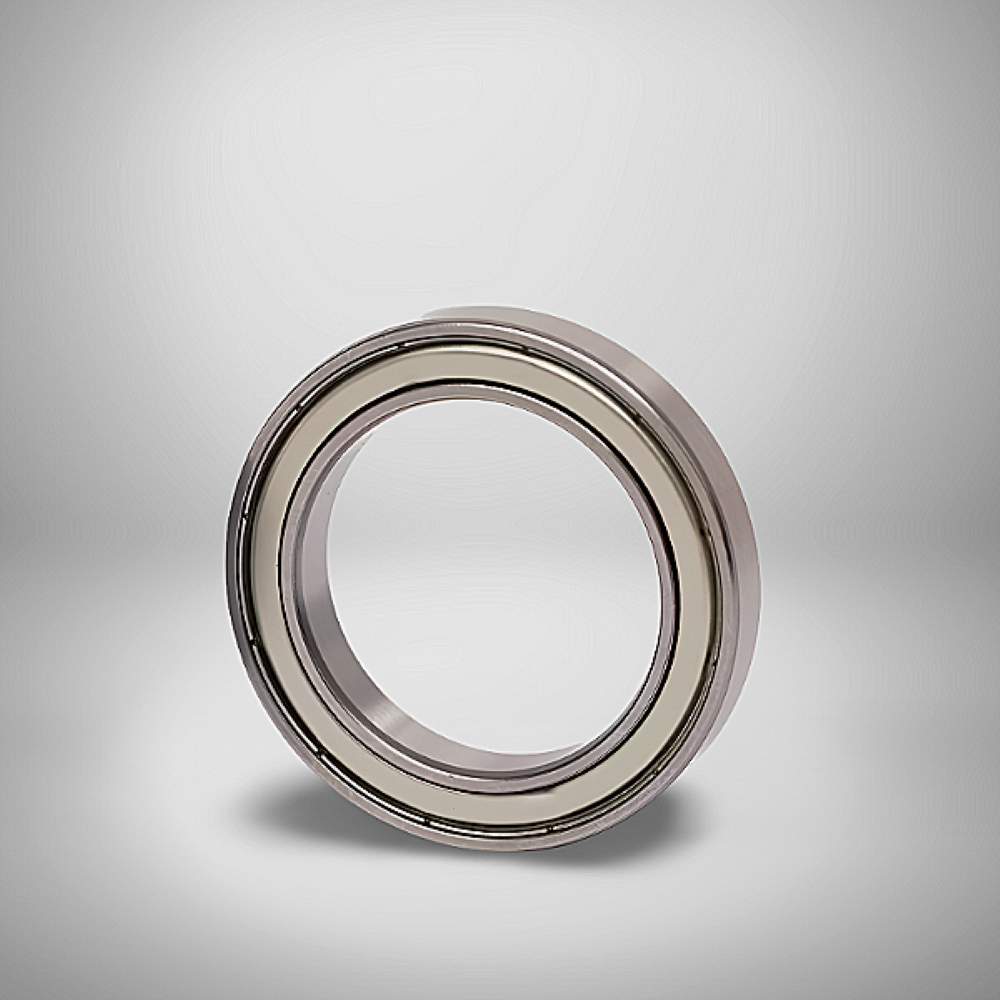 61800-ZZ RICH 10x19x5
