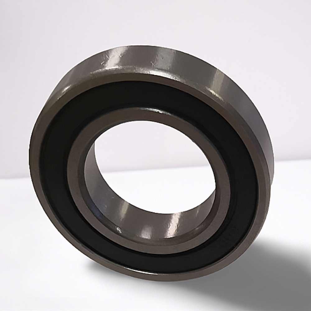 6005-2RS RICH 25x47x12
