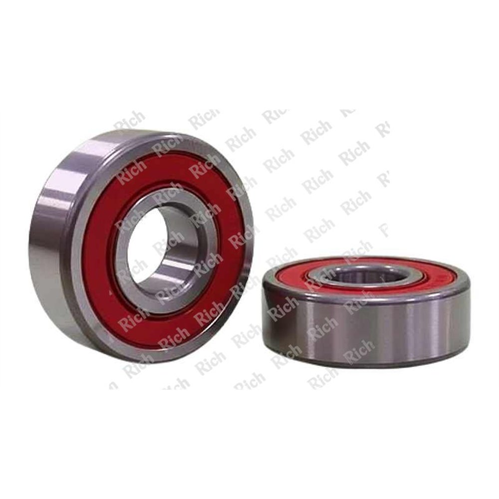 6000 2RS/RPK RICH 10x26x8 | Special Grease