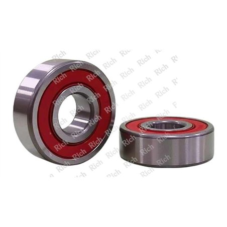 6002 2RS/RPK RICH 15x32x9