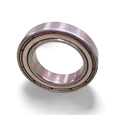 SS 61800 2Z RICH 10x19x5