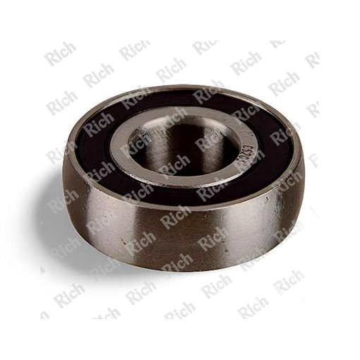 CS203-2RS RICH 17x40x12