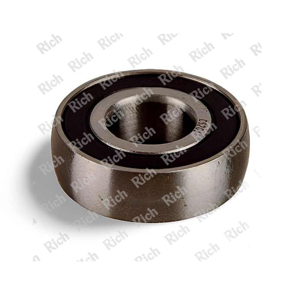 CS203-2RS RICH 17x40x12