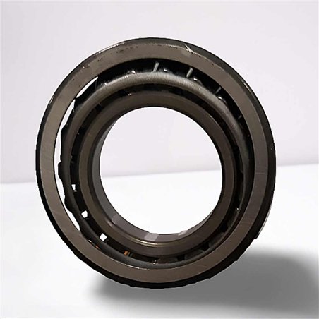 L44643/44610 RICH 25,4x50,292x14,224