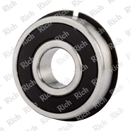 6201 2RSNR/RPK RICH 12x32x10  | Special Grease