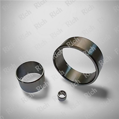 IR5816 S RICH 5x8x16 | Stainless Steel Inner Ring