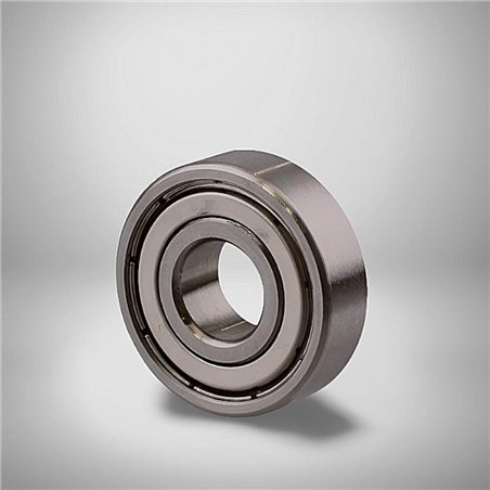 SS 6205-2Z RICH 25x52x15