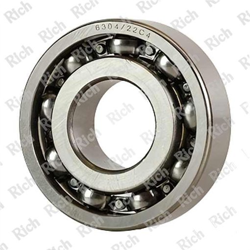 6304/22 C4 RICH 22x52x15