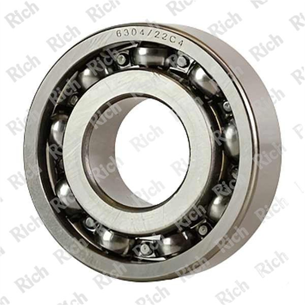 6304/22 C4 RICH 22x52x15