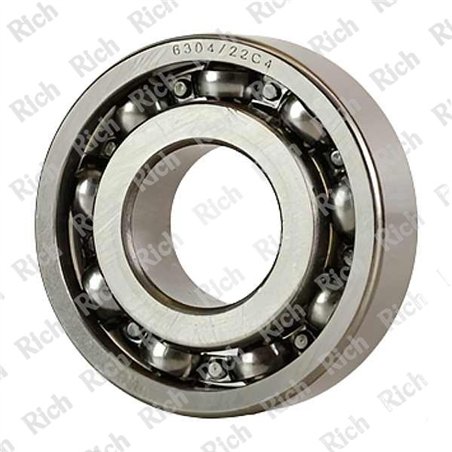 6304/22 C4 RICH 22x52x15