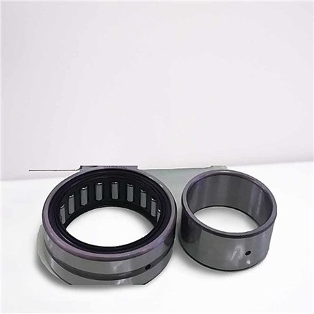 NA 4905-2RS RICH 25x42x18