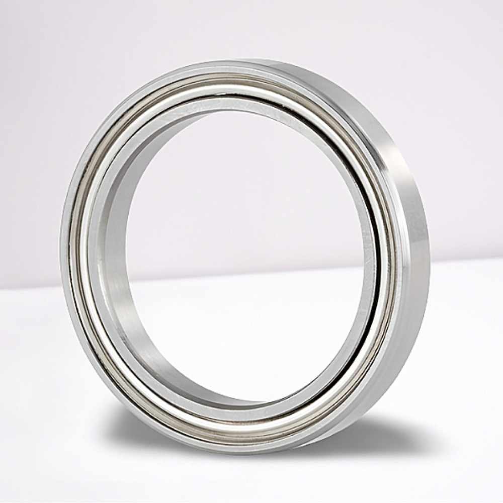 SS 61704 ZZ RICH  RICH 17x23x4