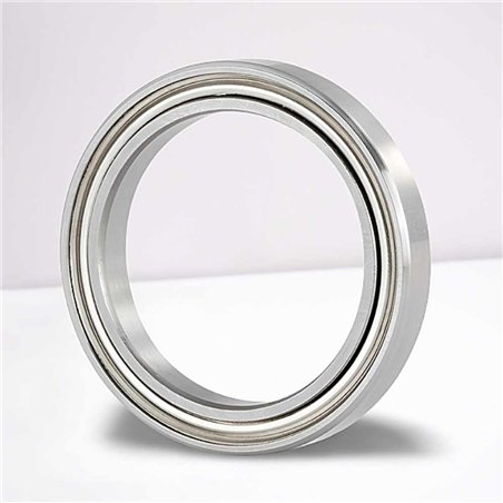 SS 61704 ZZ RICH  RICH 17x23x4