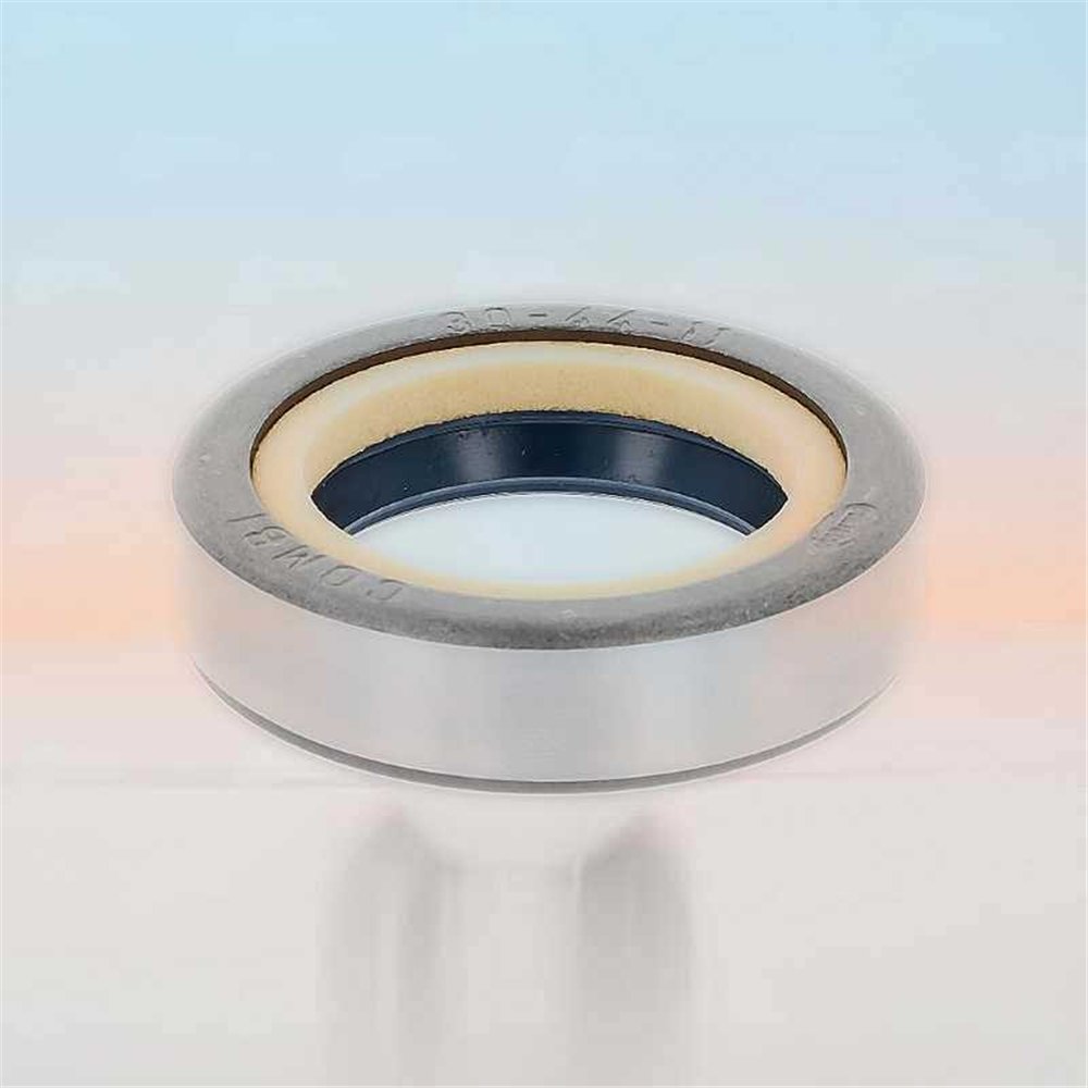Oil Seal RICH 30x44x11 COMBI NBR