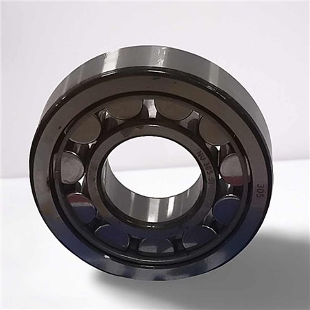 NU 305 RICH 25x62x17