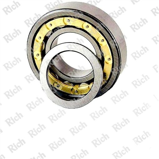 NUP305 M RICH 25x62x17