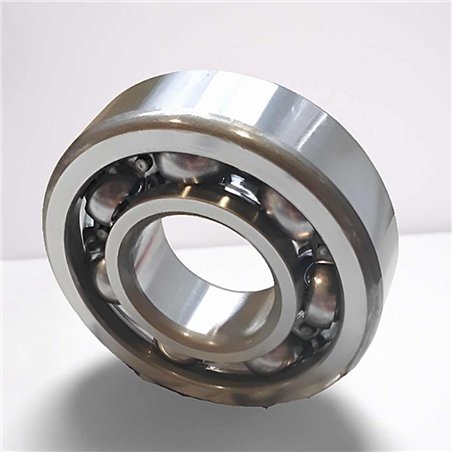 6304/RYD RICH 22x52x15