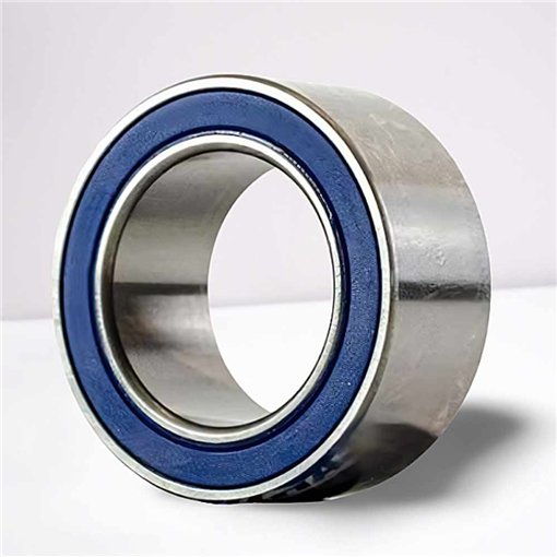 RA-30470020 (30BG04S21) RICH 30x47x20