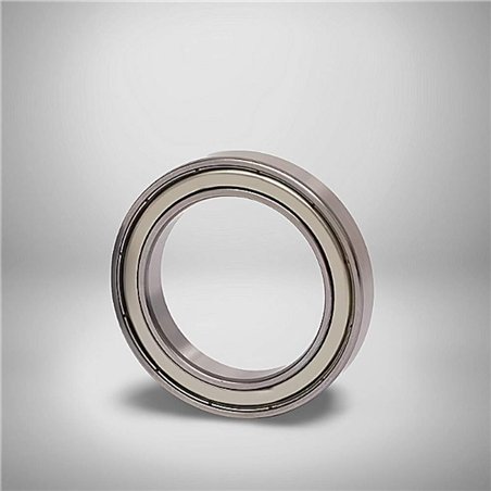 63805 ZZ RICH 25x37x10