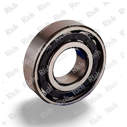 N307 E RICH 35x80x21