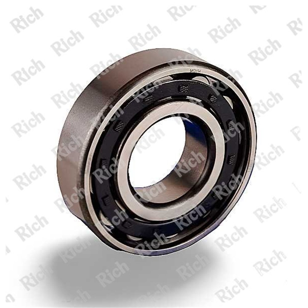 N307 E RICH 35x80x21