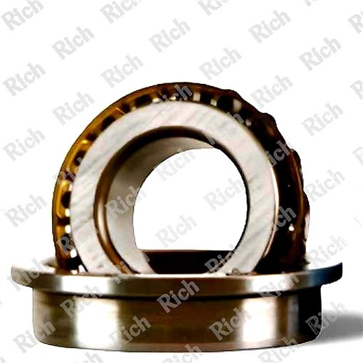 562495 RICH 21,986x45x6,6