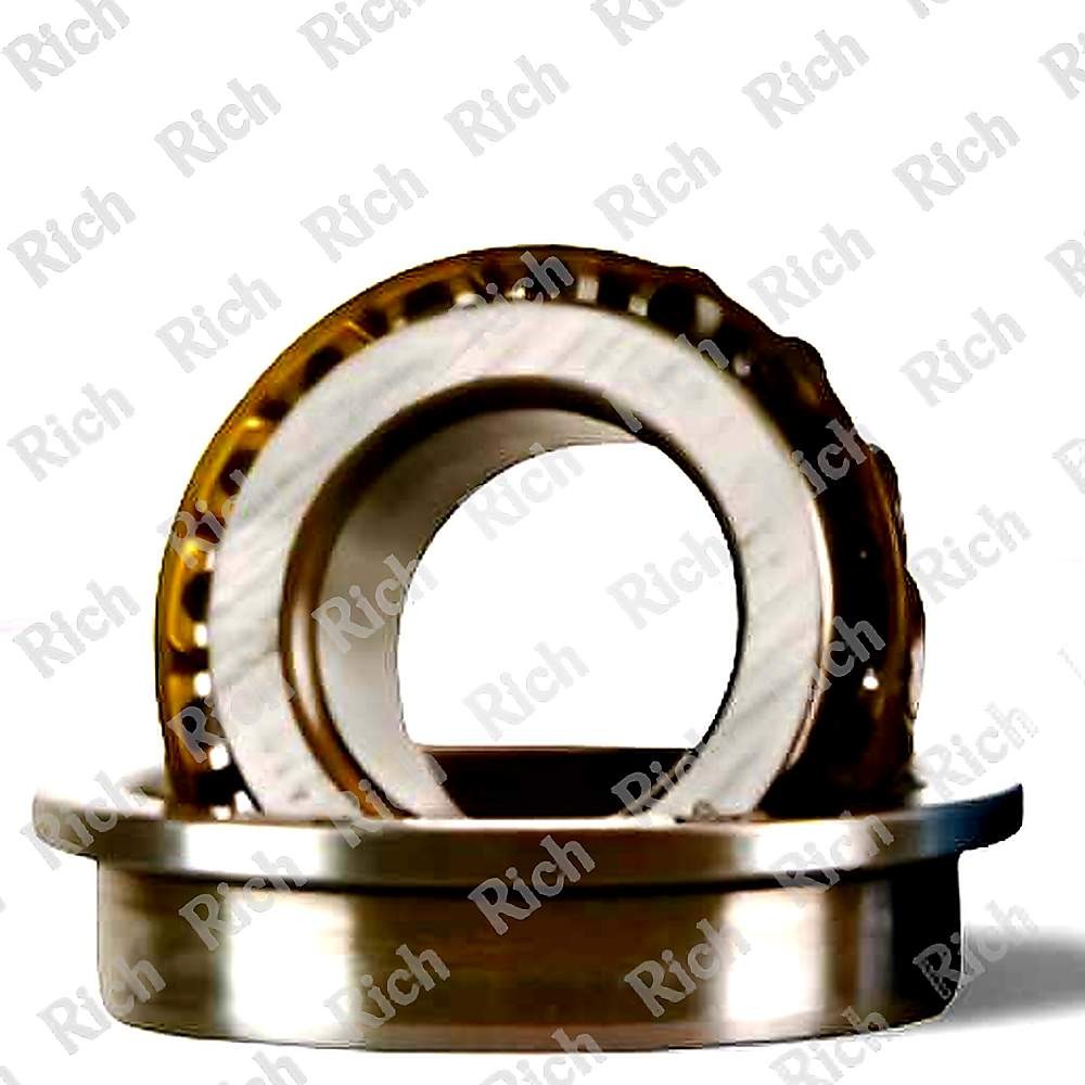 562495 RICH 21,986x45x6,6