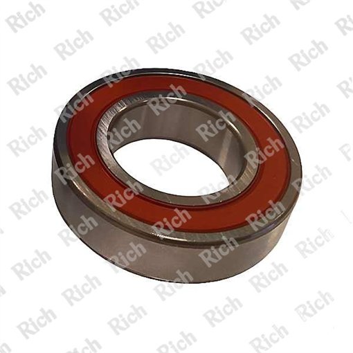 6005 2RS C4/RPK RICH 25x47x12  | Special Grease