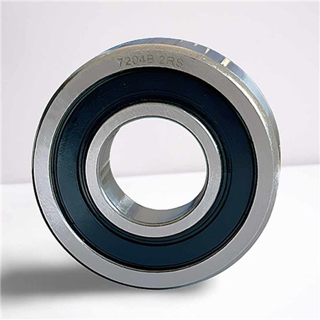 7204-B-2RS RICH 20x47x14  | Angolo Contatto: 40°
