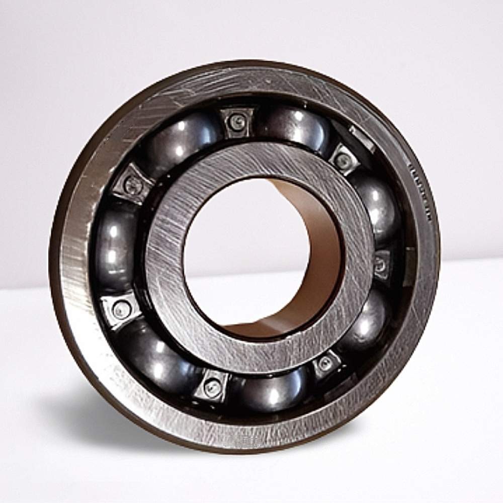 RD-256318 (DG256318CS12) RICH 25x63x18