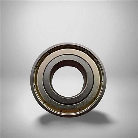 RLS 5 ZZ RICH 15,875x39,688x11,112
