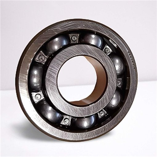 RD-25-198 RICH (B25-198CG12) RICH 25x63x18