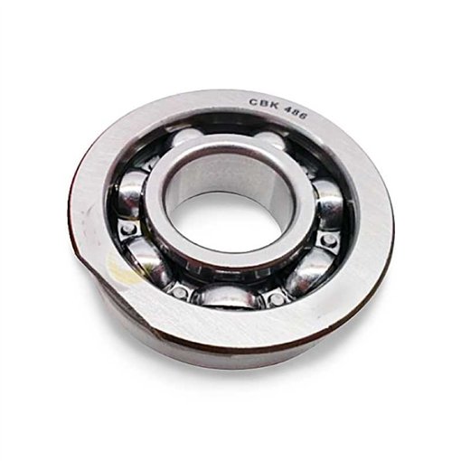 CBK486 RICH 22x52x15