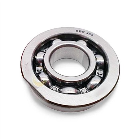 CBK486 RICH 22x52x15