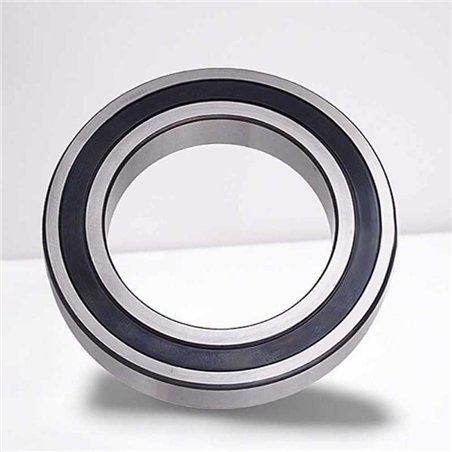 SS-16004-2RS RICH 20x42x8