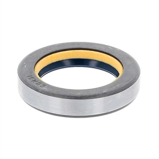 Oil Seal RICH 35x50x10 COMBI NBR