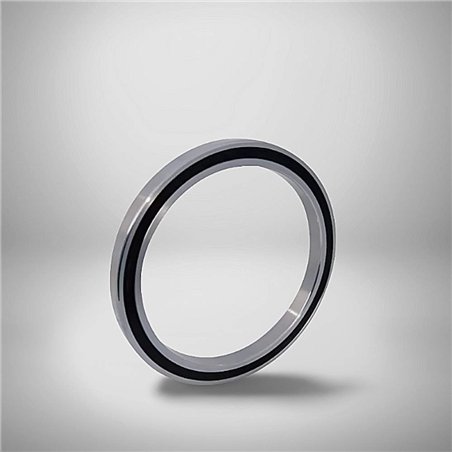16012-2RS RICH 60x95x11
