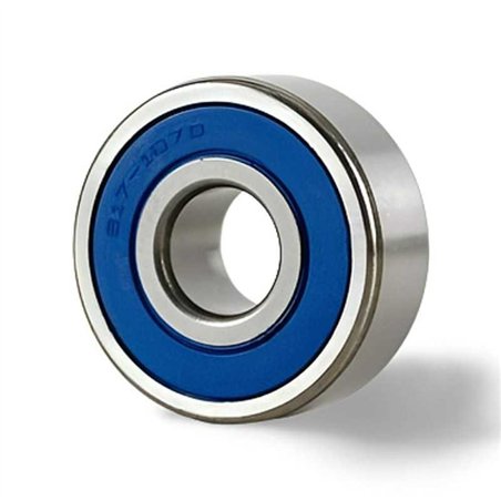 B17-123 RICH 17x52x21