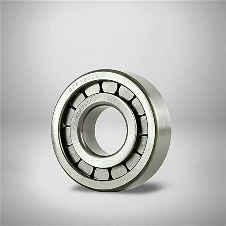 NCF305EV RICH 25x62x17