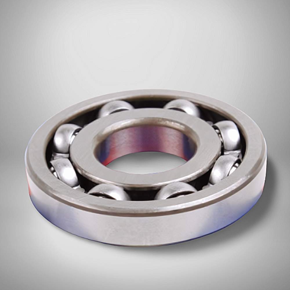 R25BCS11 RICH 25x62x11,35