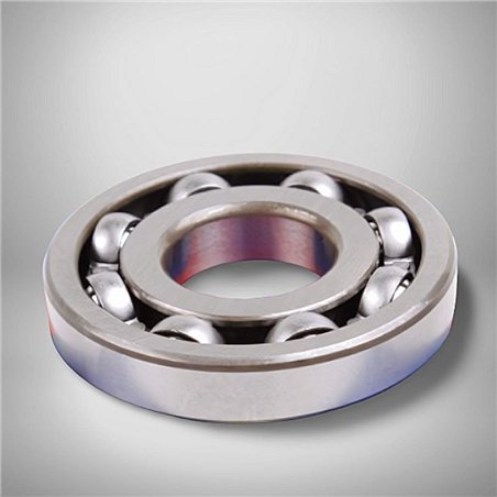 R25BCS11 RICH 25x62x11,35