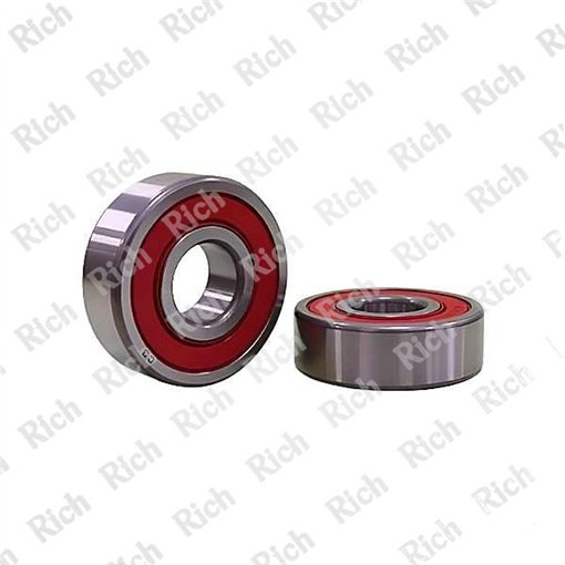 6010 2RS C3/RPK RICH 50x80x16 | Special Grease