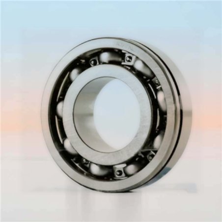 SX05A87 N RICH 25x52x15