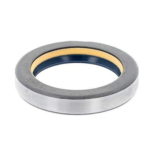 Oil Seal RICH 48x65x11 COMBI NBR