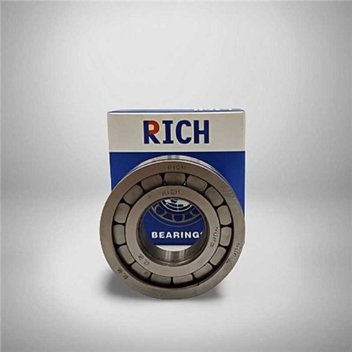 NUP2204 RICH 20x47x18