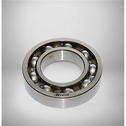 RD-205212-2 (DG20521229TCS24) RICH 20x52x12