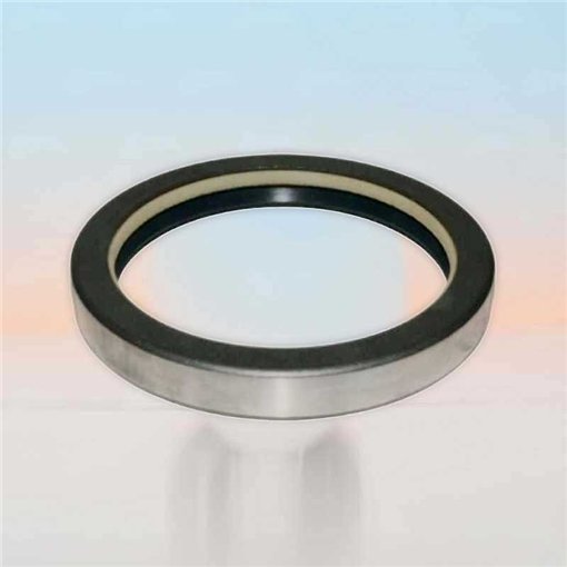Oil Seal RICH 74x91x12 COMBI NBR
