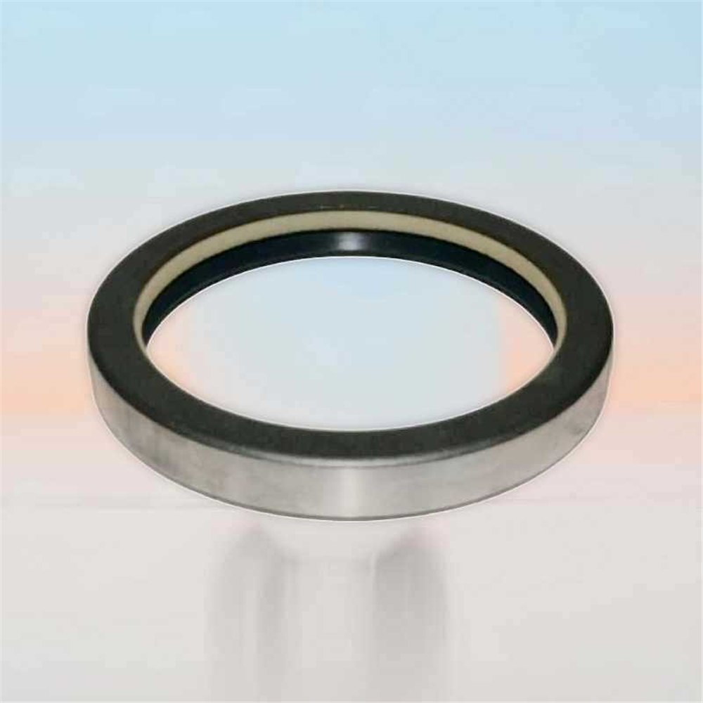 Oil Seal RICH 74x91x12 COMBI NBR