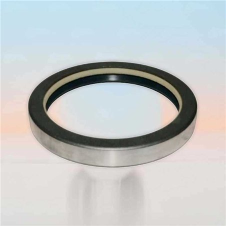 Paraolio RICH 74x91x12 COMBI NBR