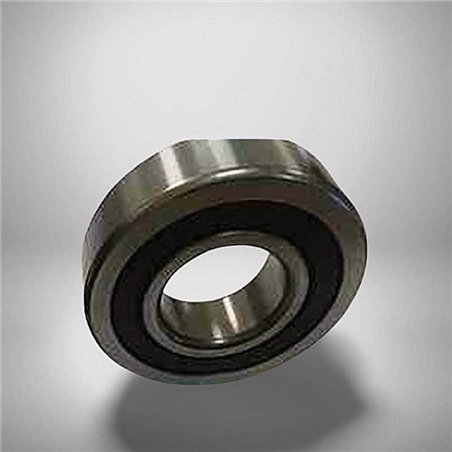 RLS 9 2RS RICH 28,575x63,5x15,875